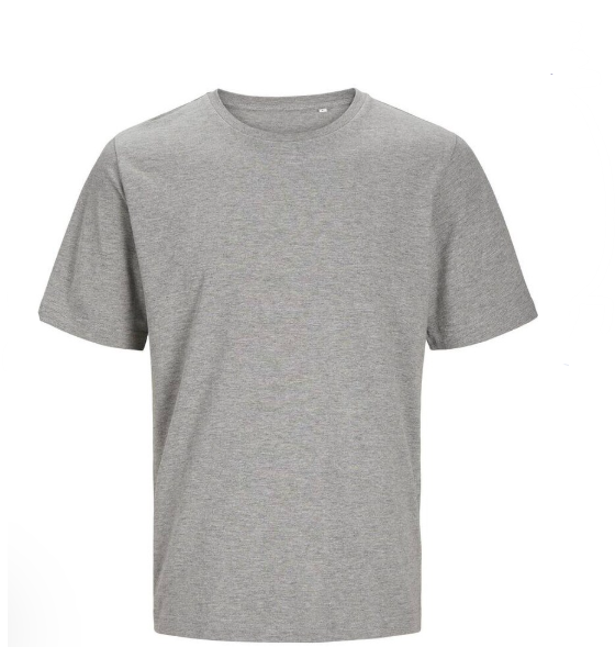 Organic T-Shirt Small Grey